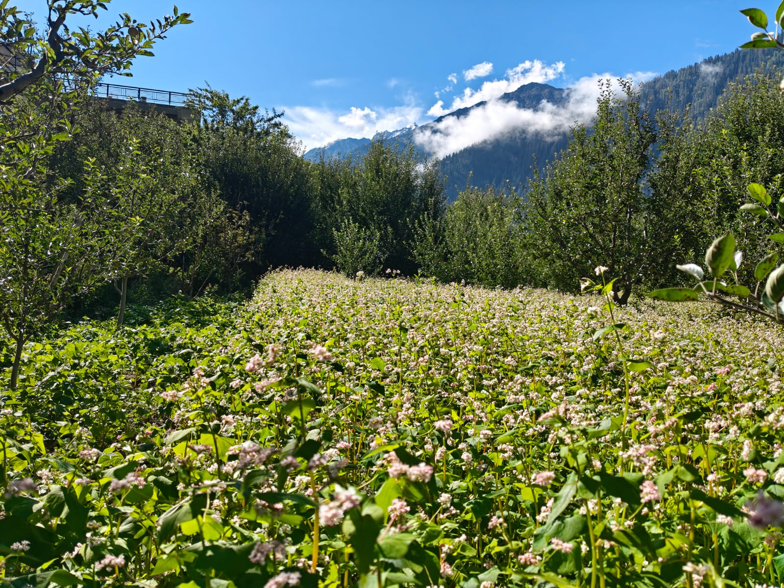 Mountain vista around Kupa